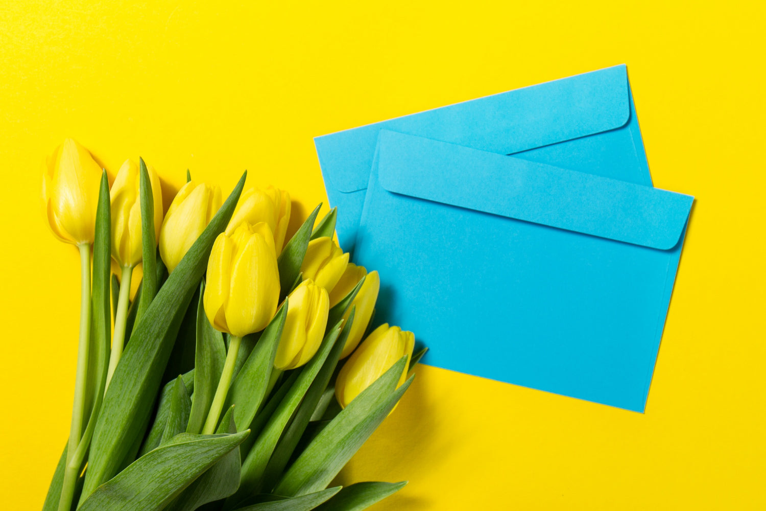 Mesaje de 1 Martie: Cele mai frumoase urari de primavara pentru cei dragi