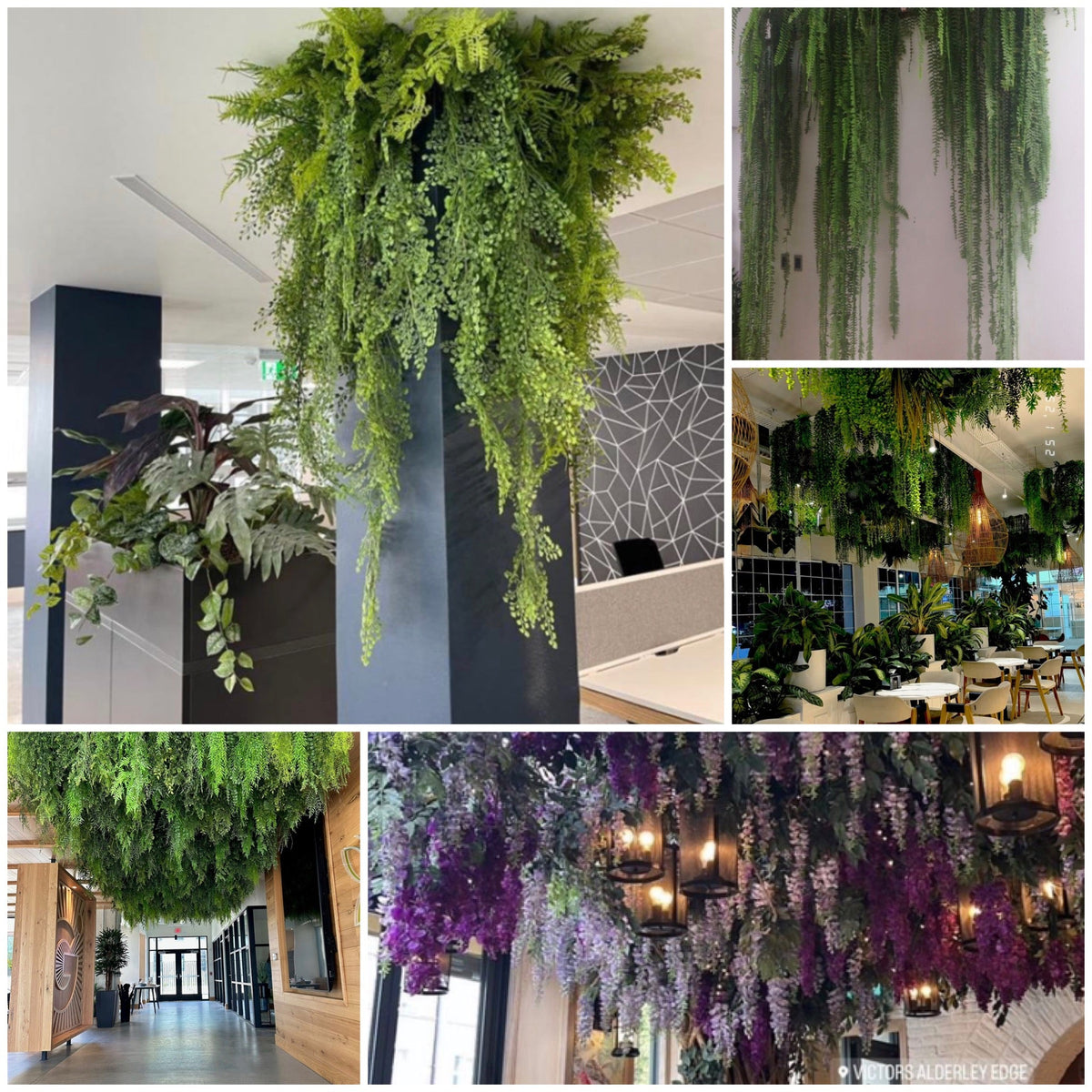 Flori si plante artificiale curgatoare