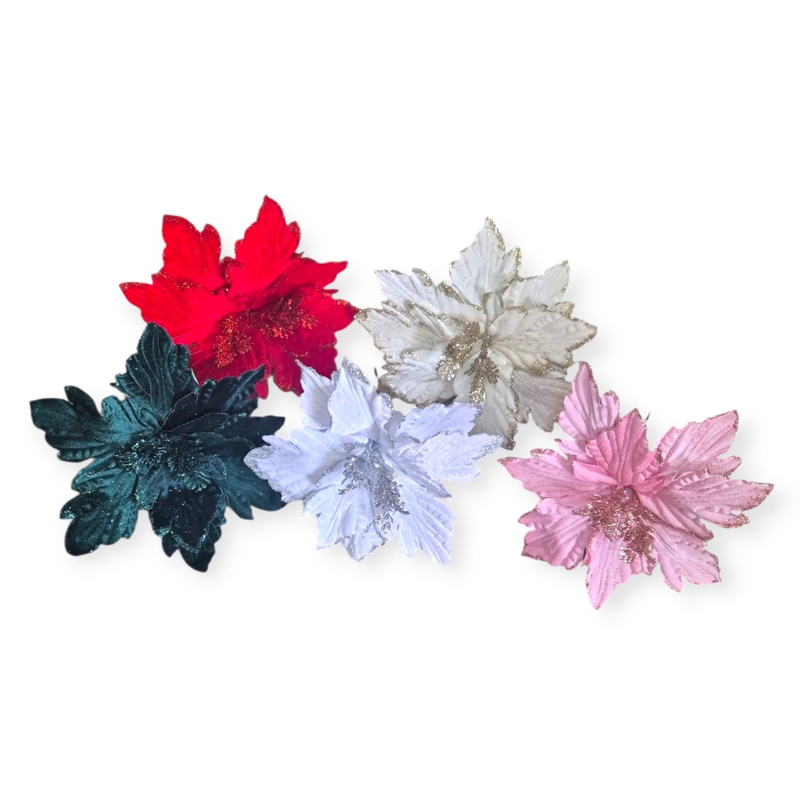 Photoroom_20251014_093423