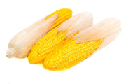 legume-plastic-porumb