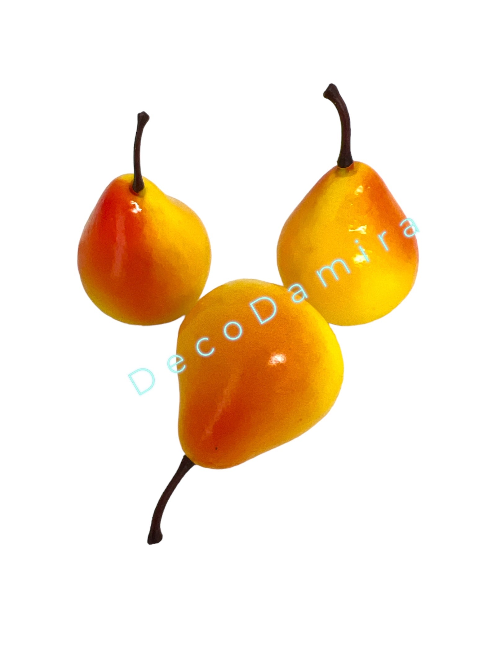 Photoroom_20240215_154232