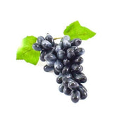 struguri-plastic-25-cm-roze