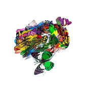 fluturi-plastic-decorativi
