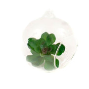 glob-sticla-cu-orificiu