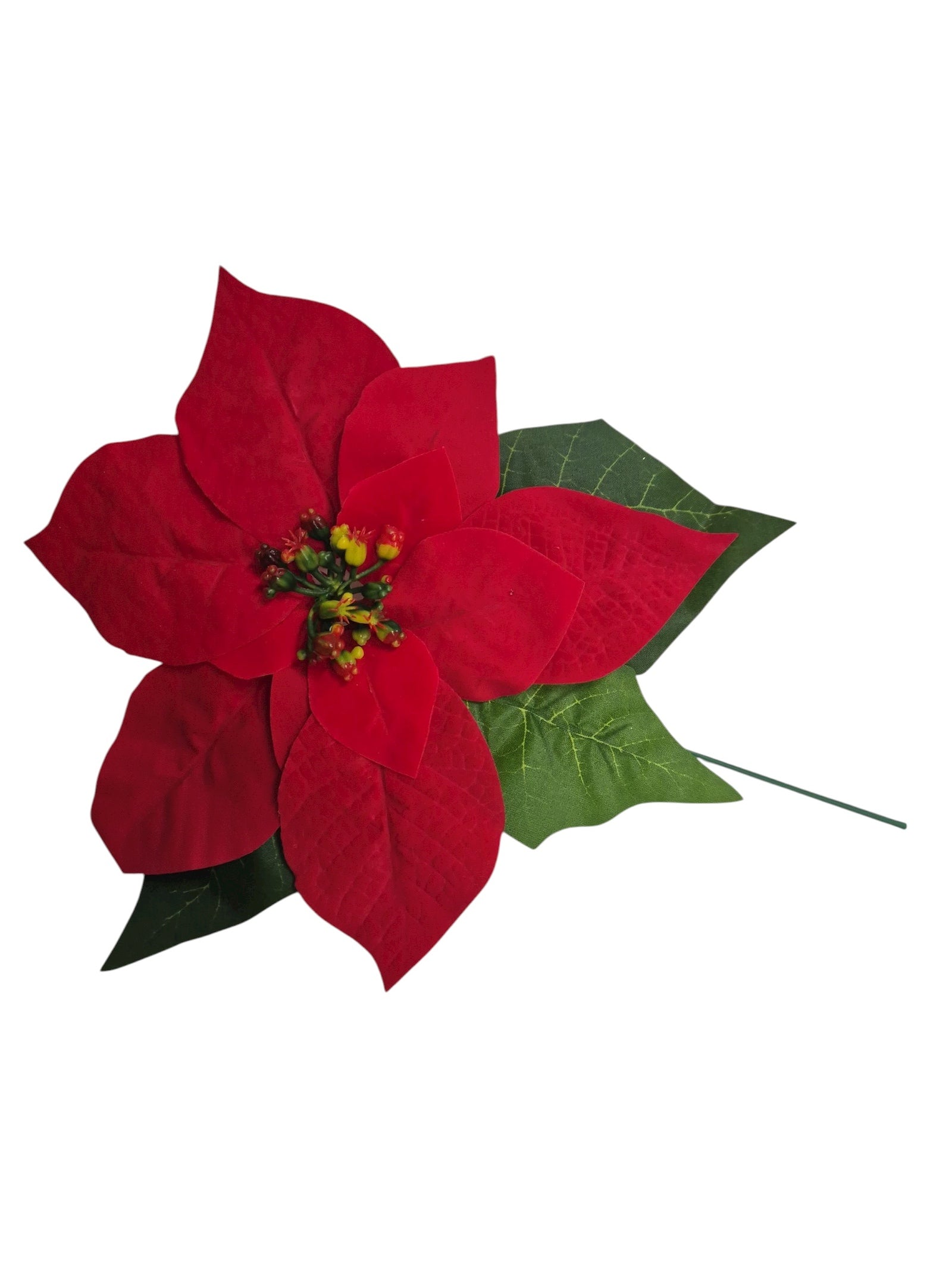 Photoroom_20251002_175619