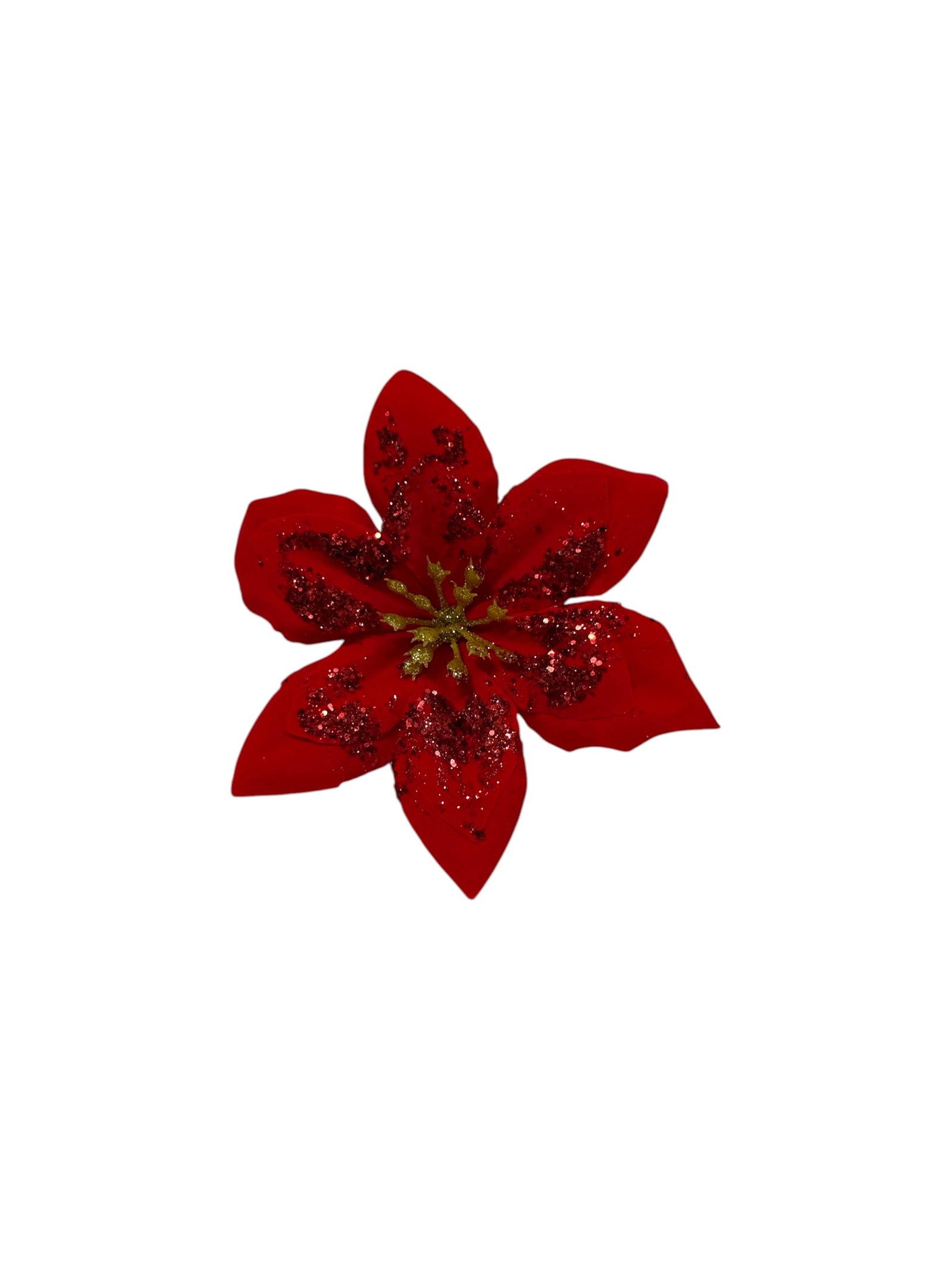 Photoroom_20251001_183057