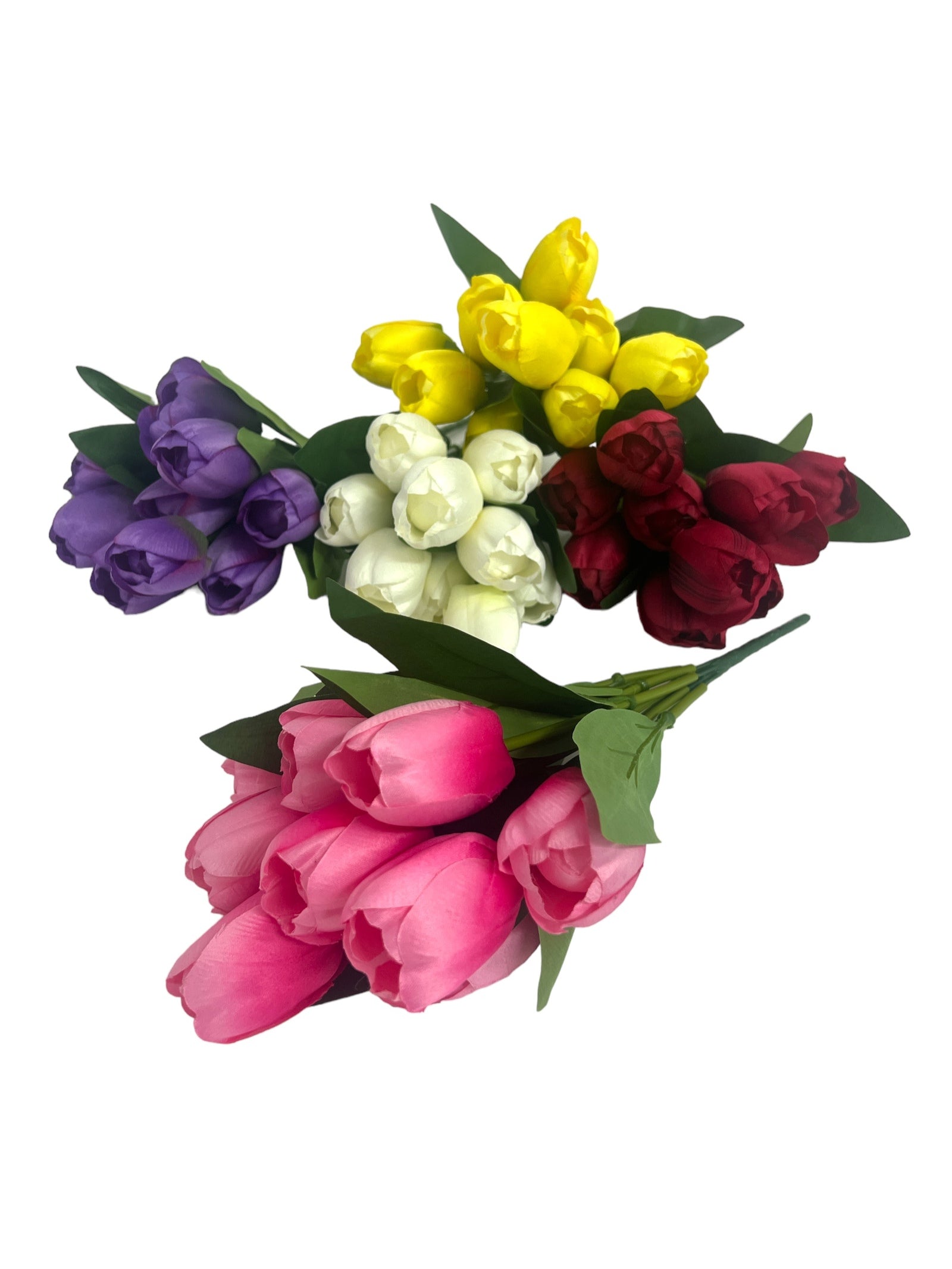 Photoroom_20240213_151840