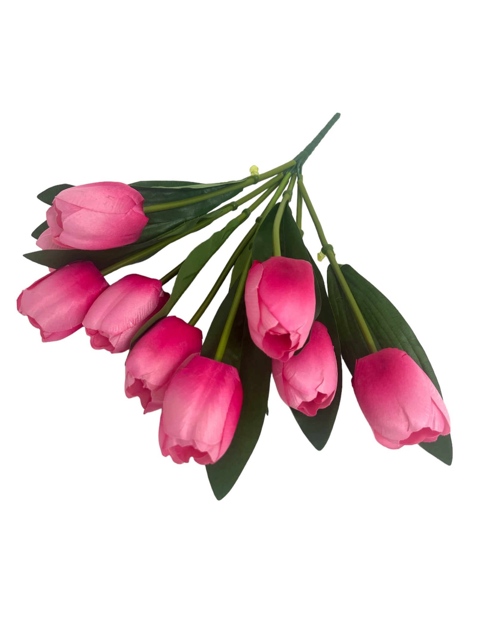 Photoroom_20240213_152014