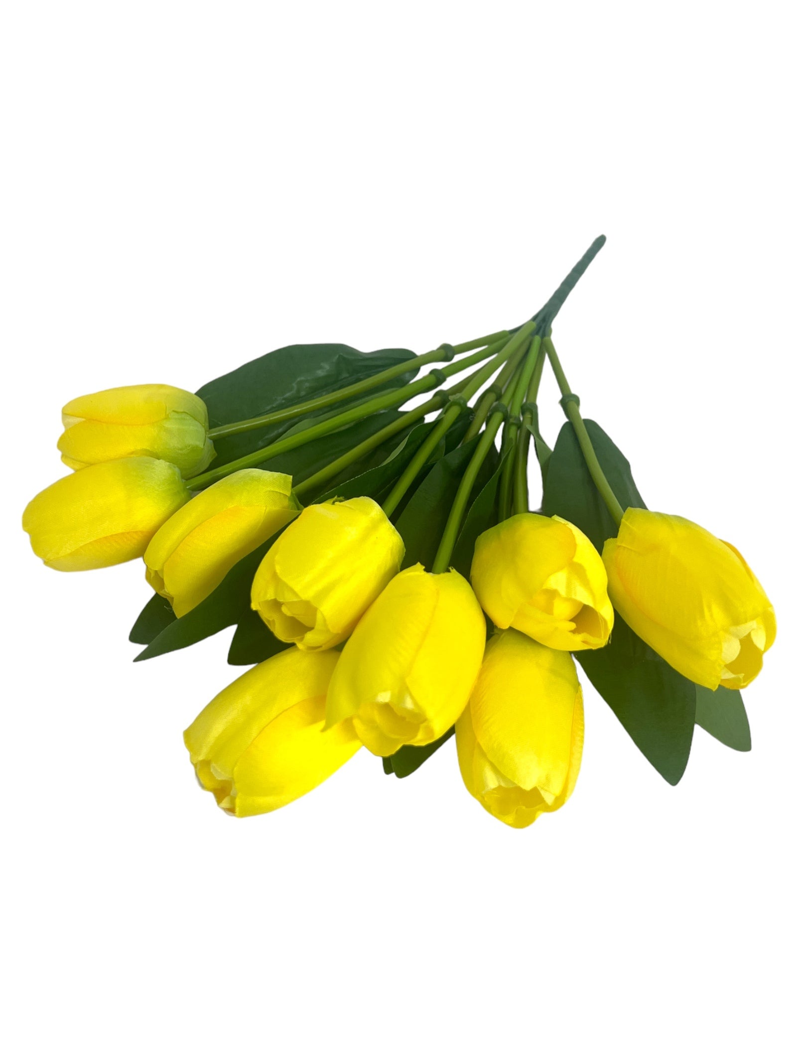 Photoroom_20240213_152200