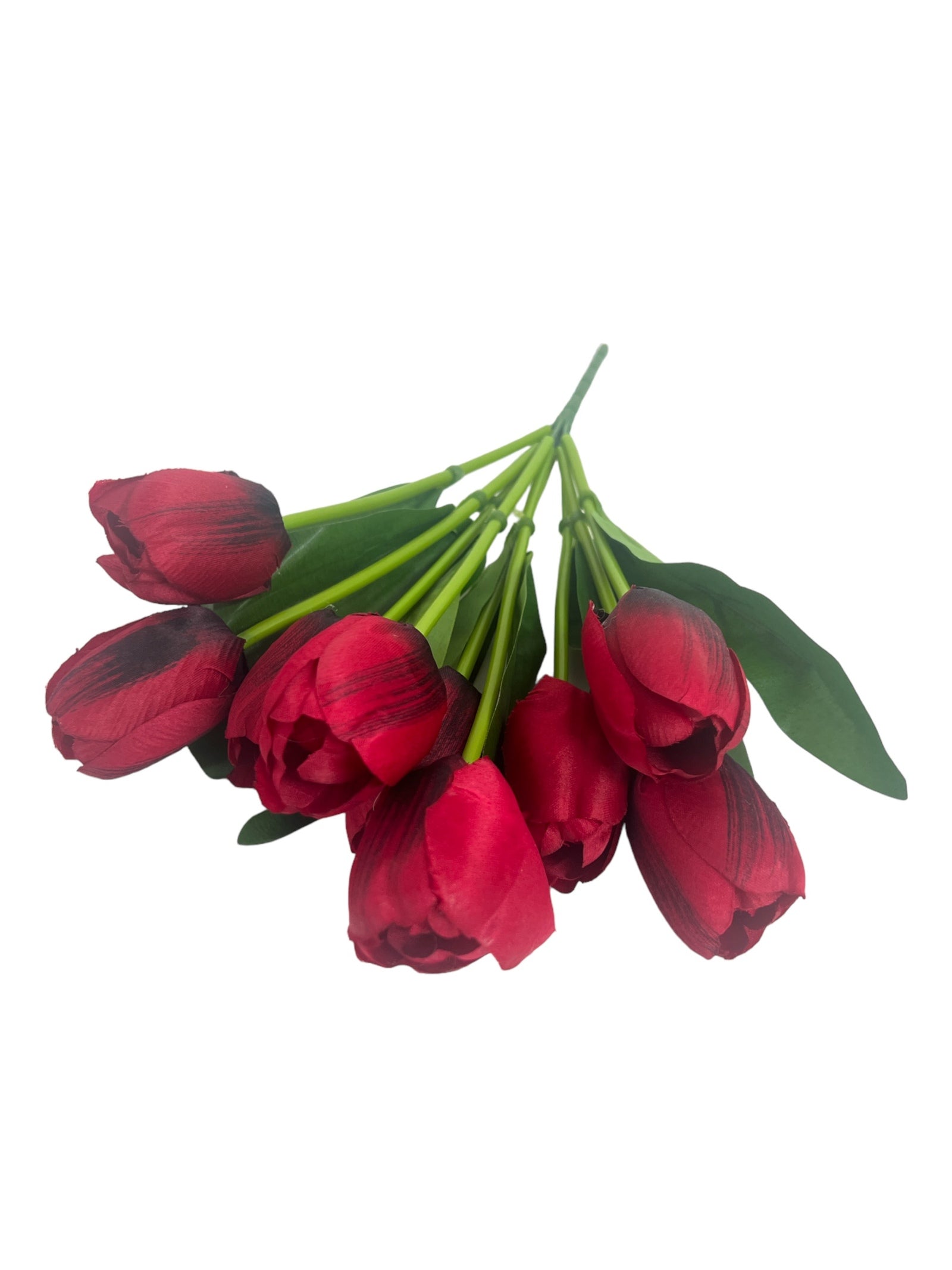 Photoroom_20240213_152517