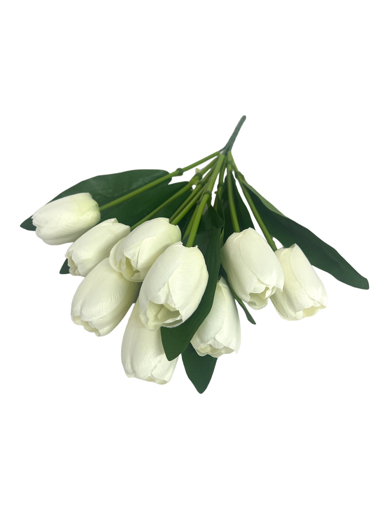 Photoroom_20240213_152647