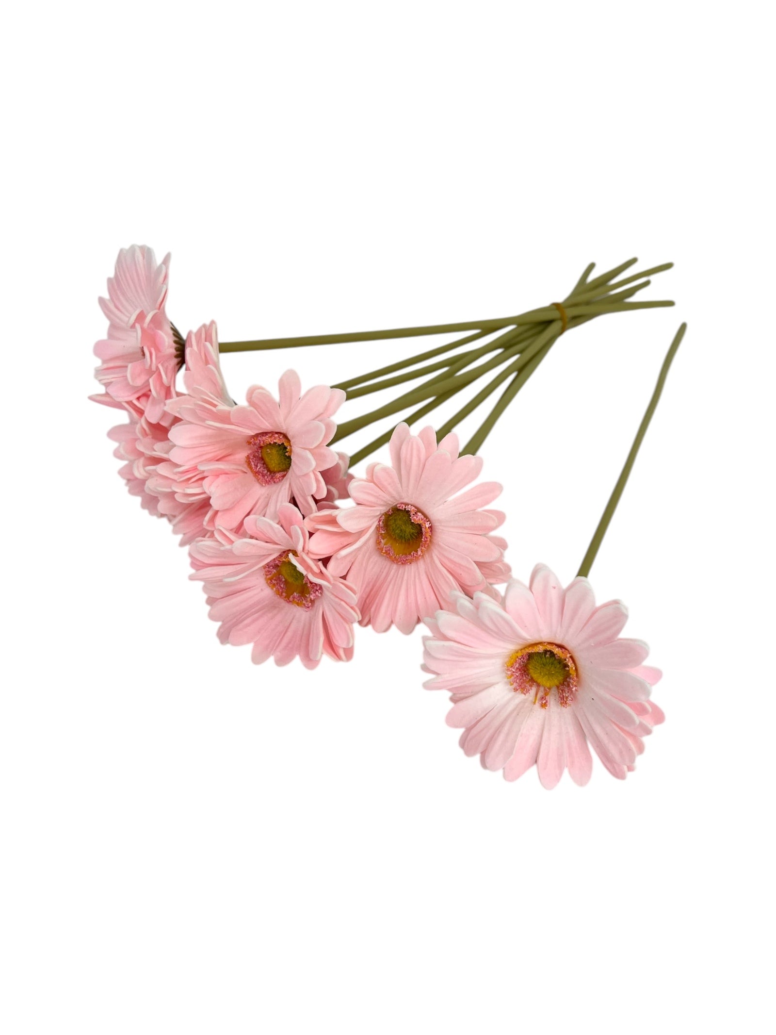 Photoroom_20250312_135805