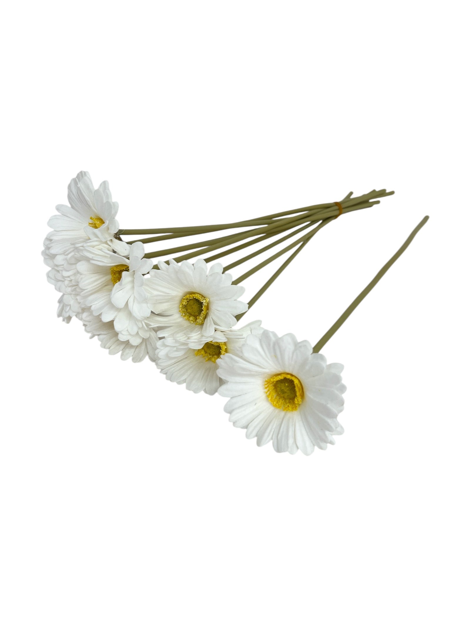 Photoroom_20250312_135934