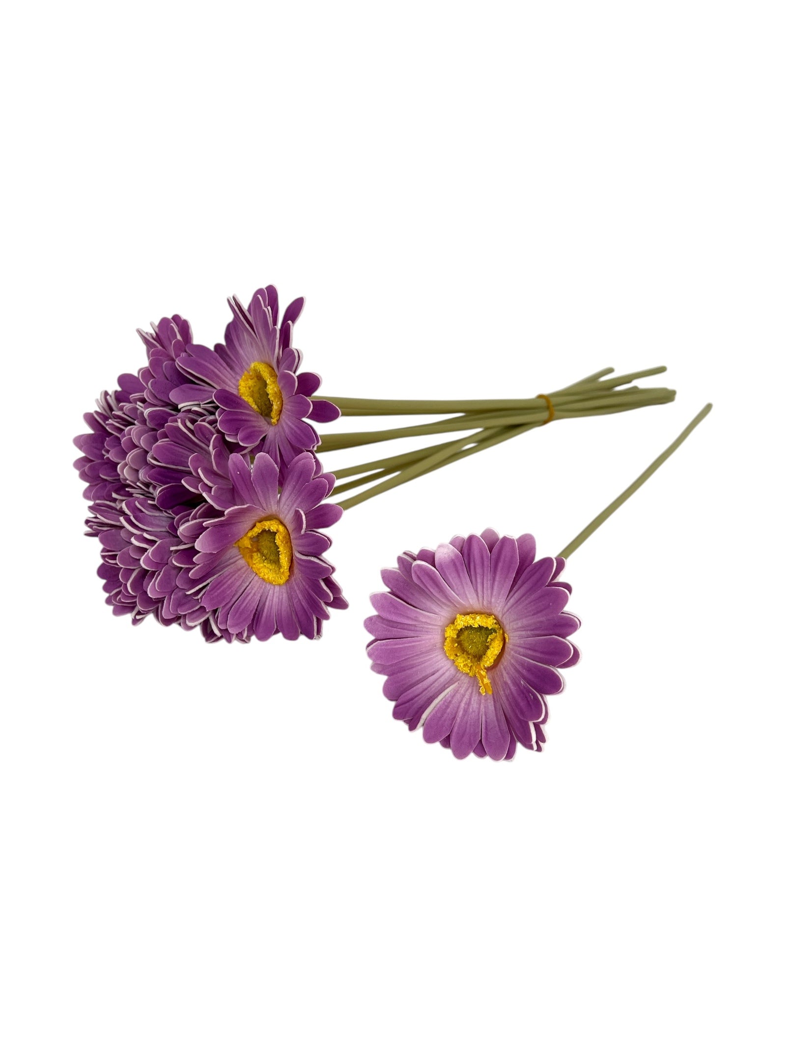 Photoroom_20250312_140208