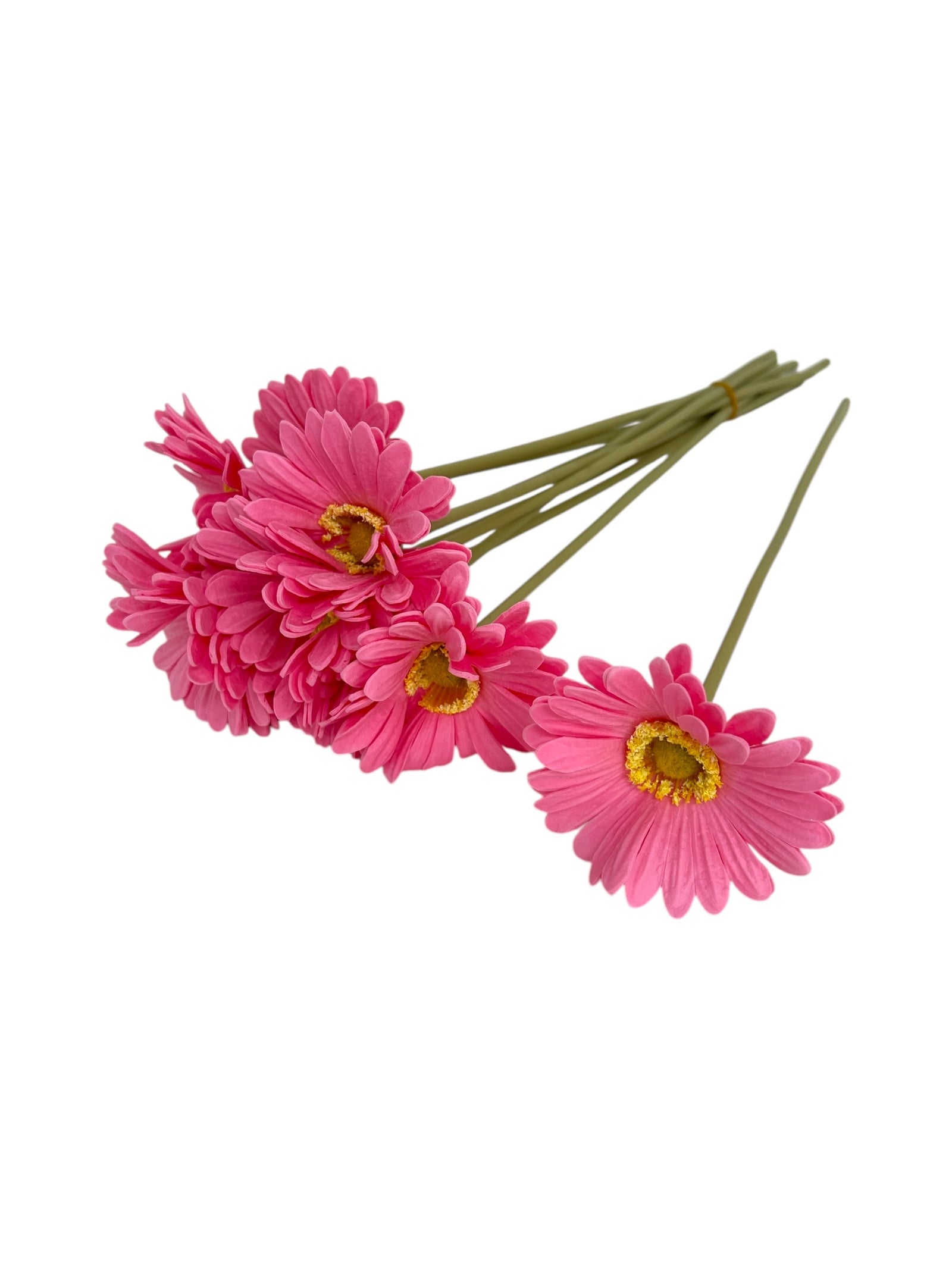 Photoroom_20250312_140345