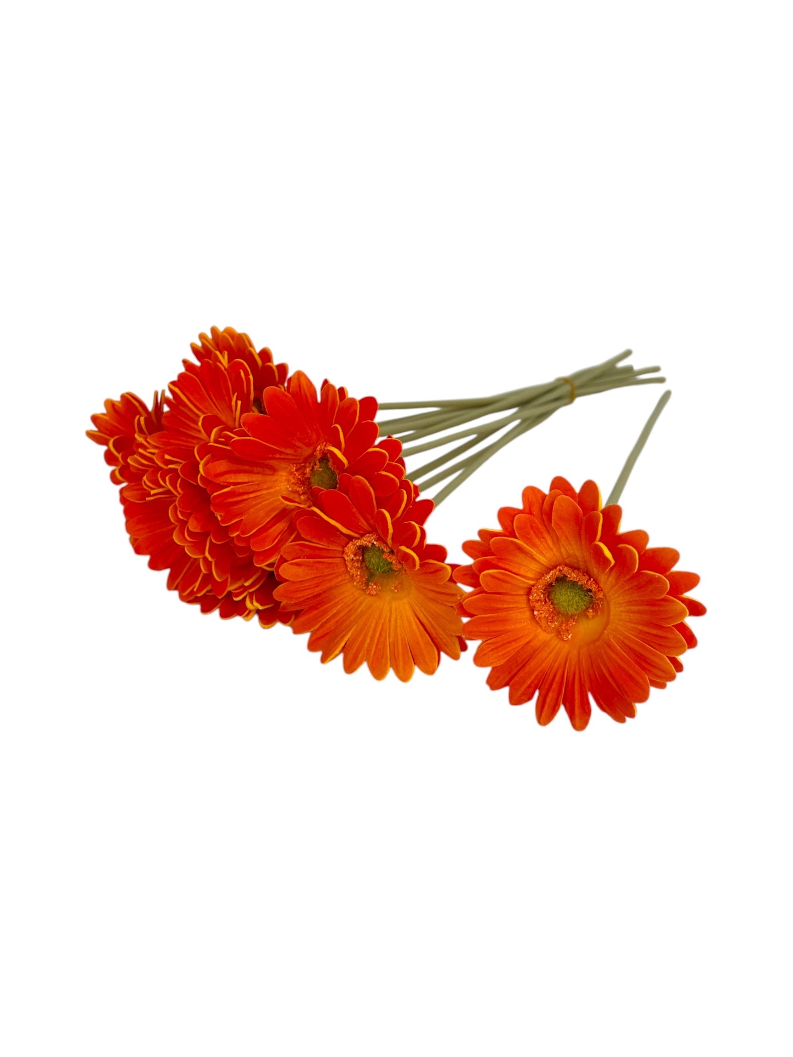 Photoroom_20250312_140511