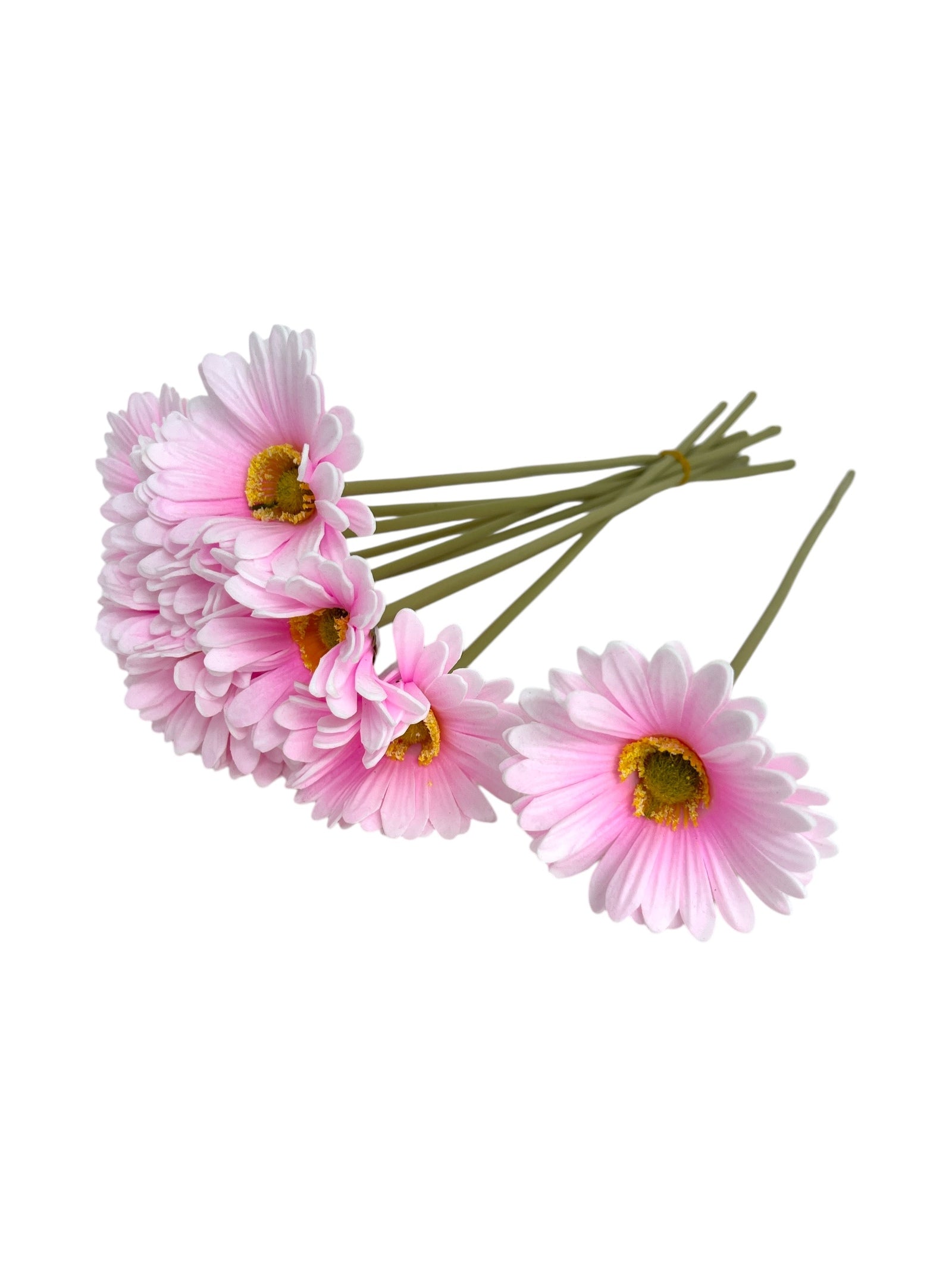 Photoroom_20250312_140836