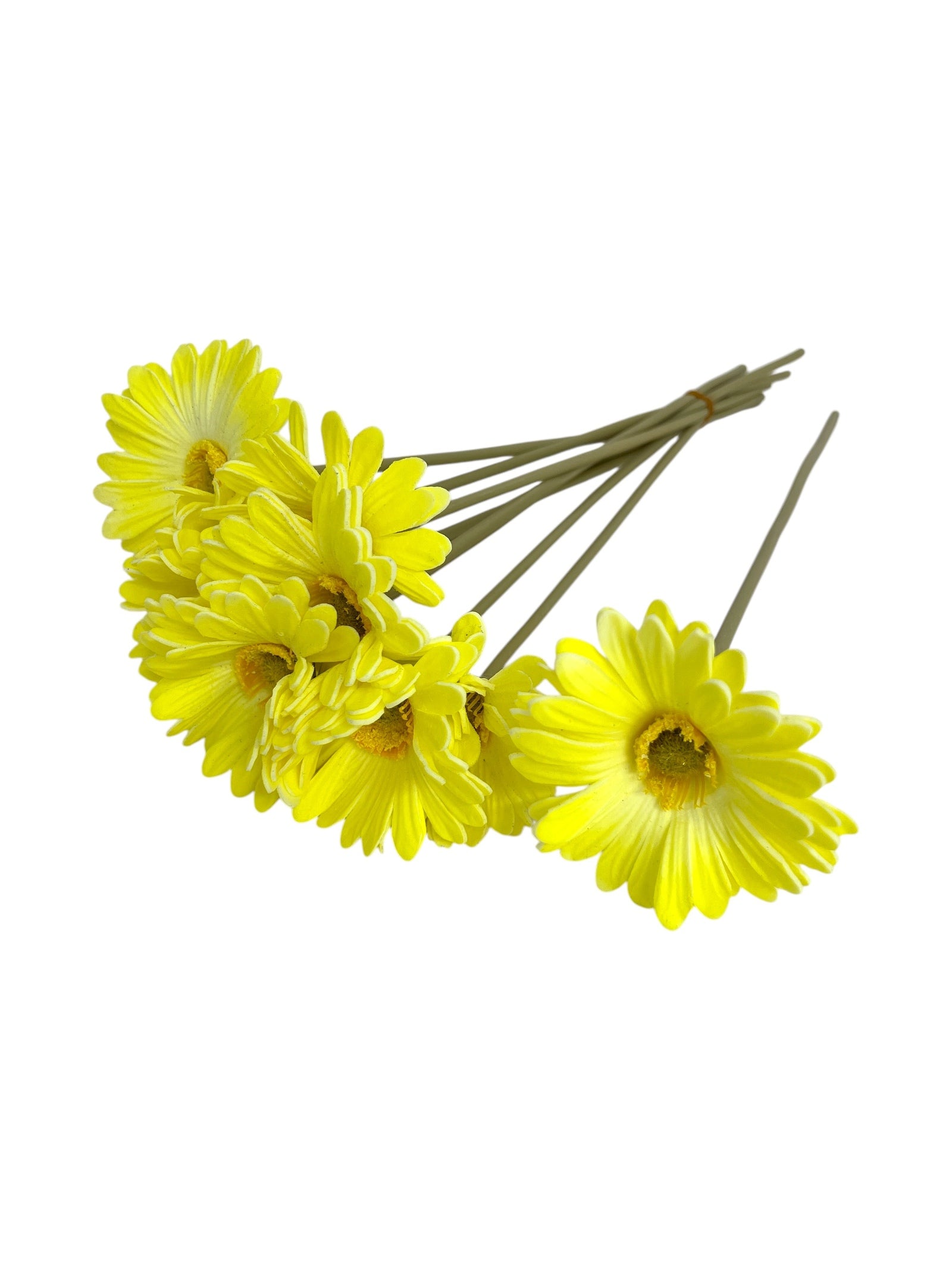 Photoroom_20250312_140952