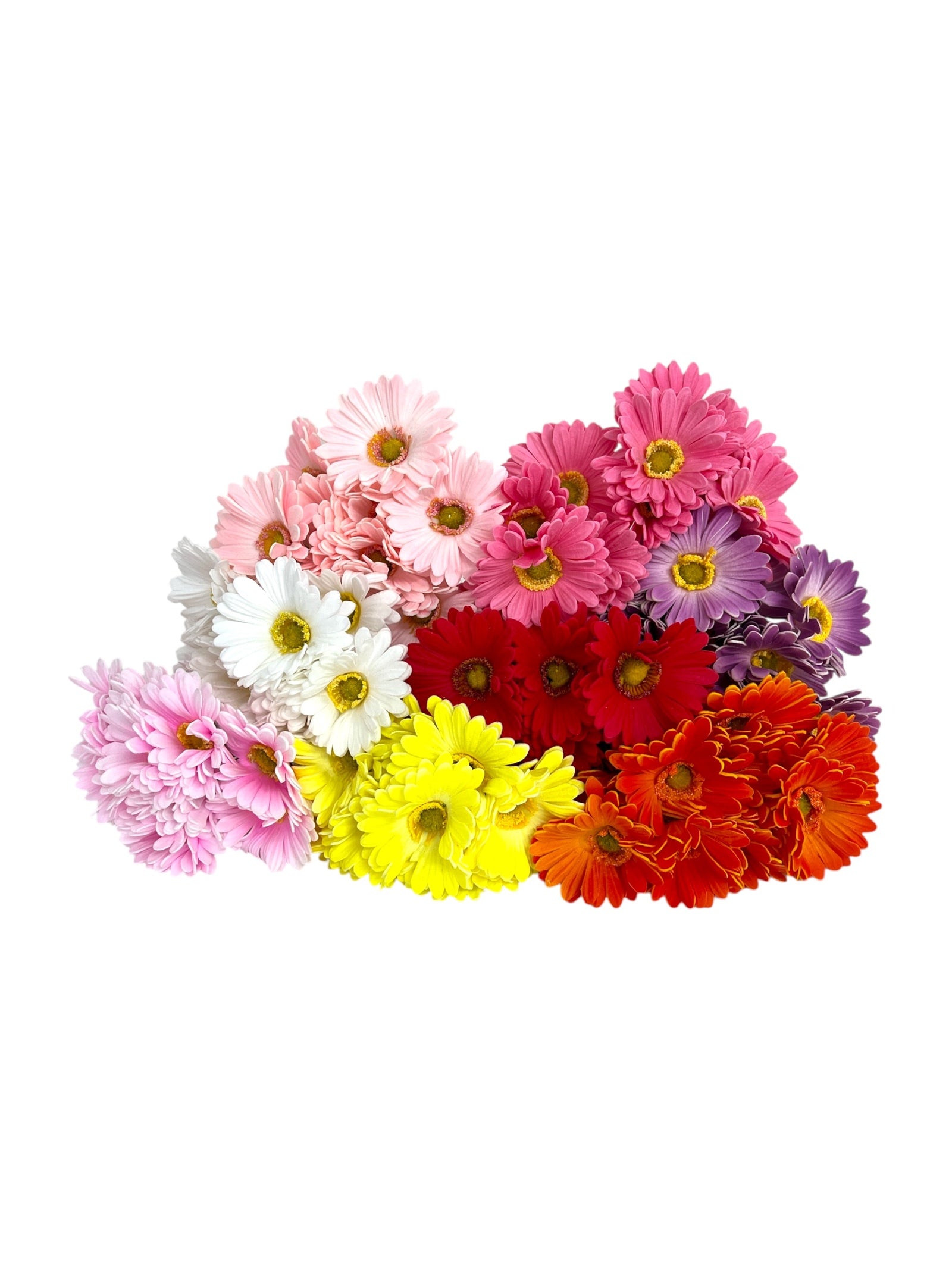 Photoroom_20250312_141207