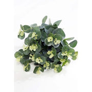 frunze-artificiale-buchet-eucalipt