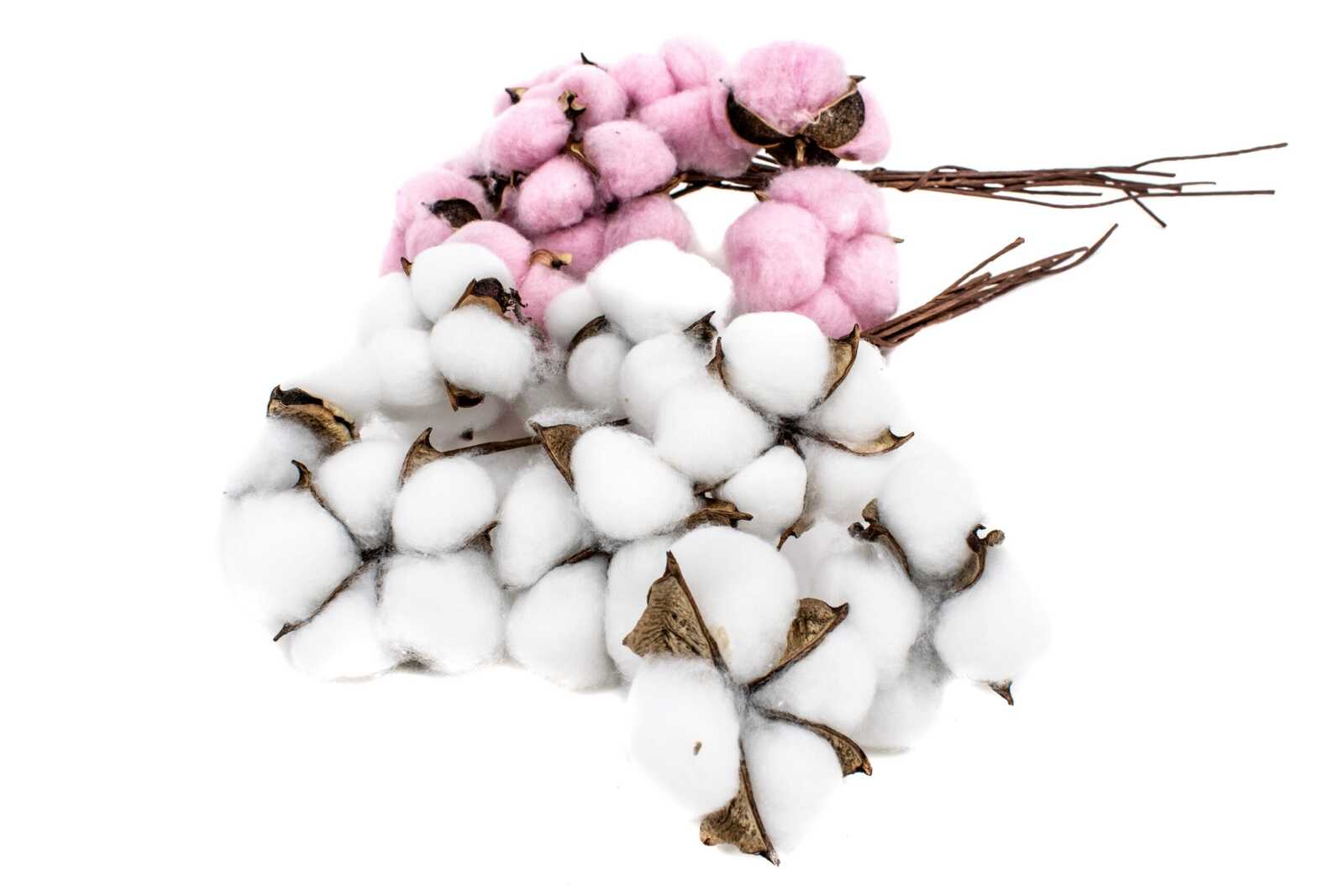 flori-artificiale-floare-de-bumbac-10set