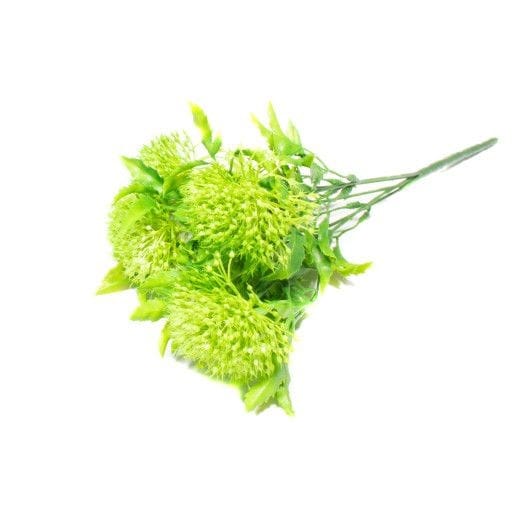 ciulini-cu-frunze-late-verde