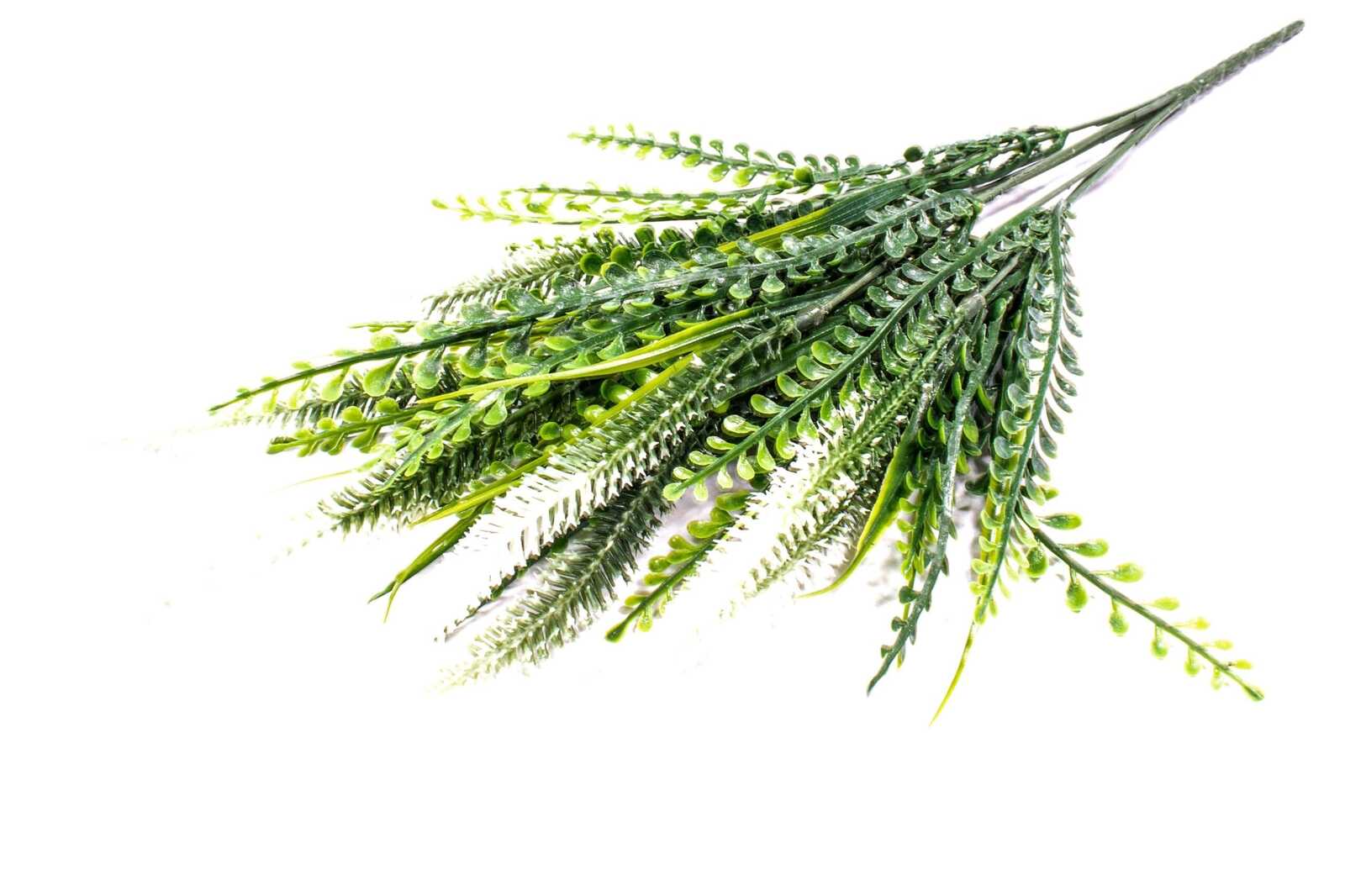 buchet-creasta-curcanului-subtire-verde