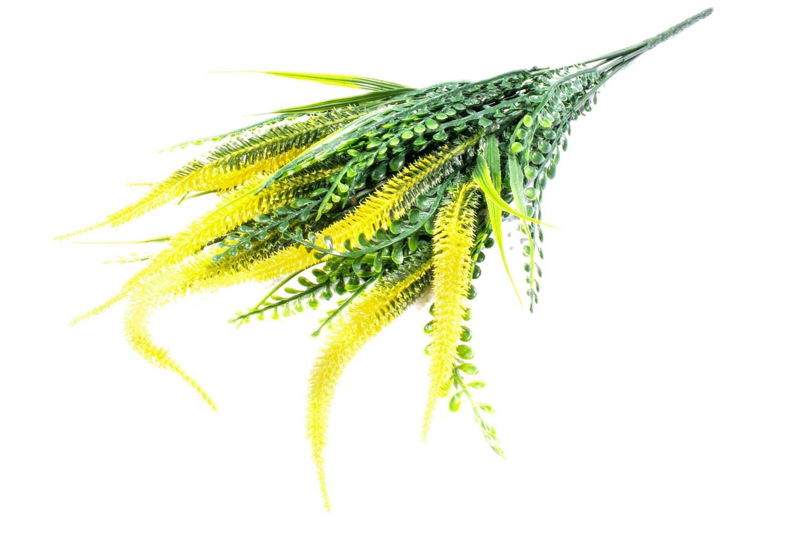 buchet-creasta-curcanului-subtire-verde