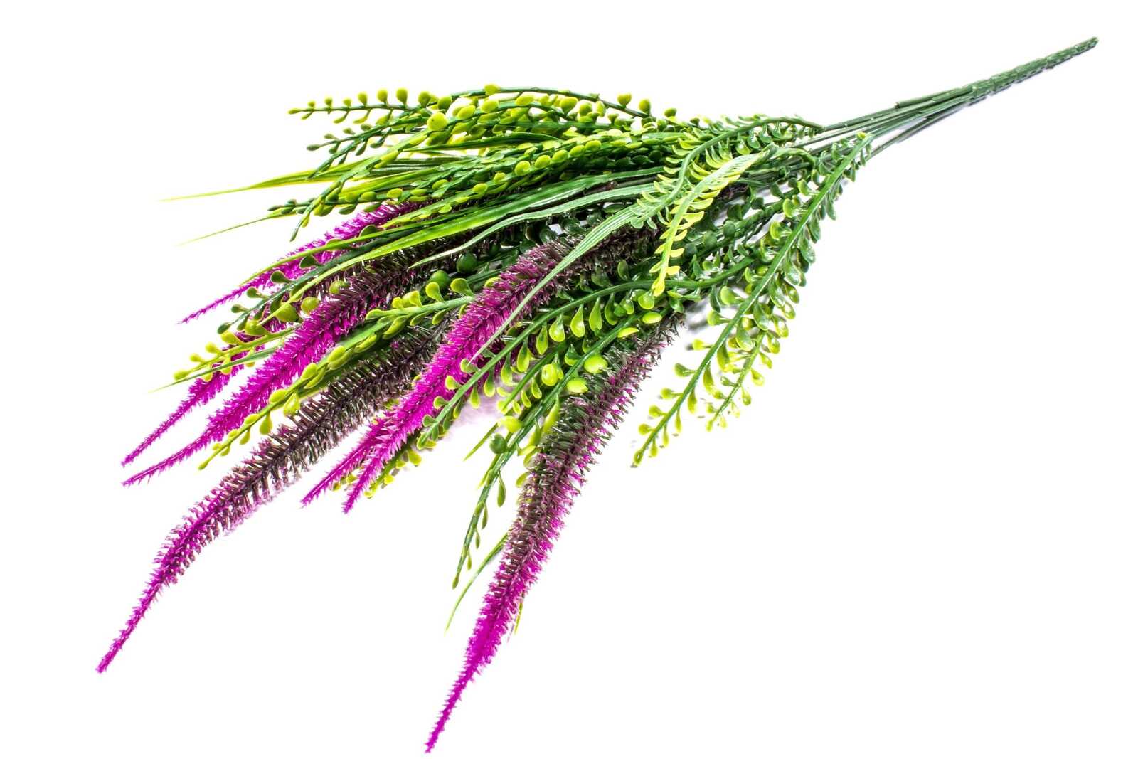 buchet-creasta-curcanului-subtire-verde