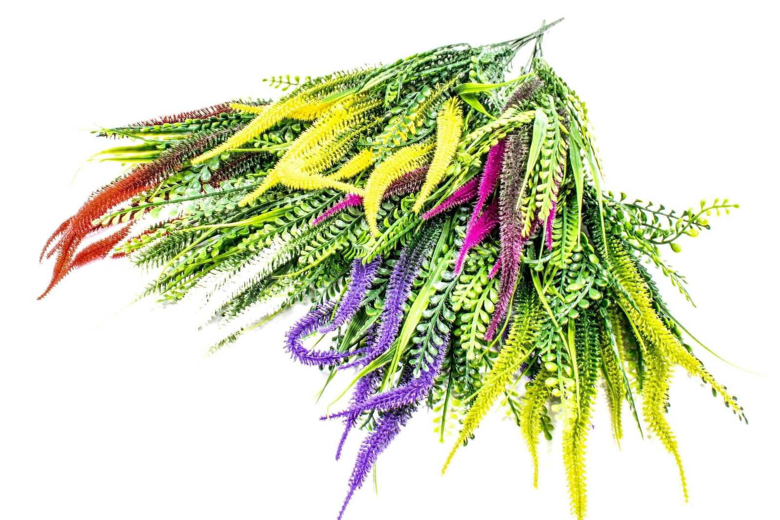 buchet-creasta-curcanului-subtire-verde