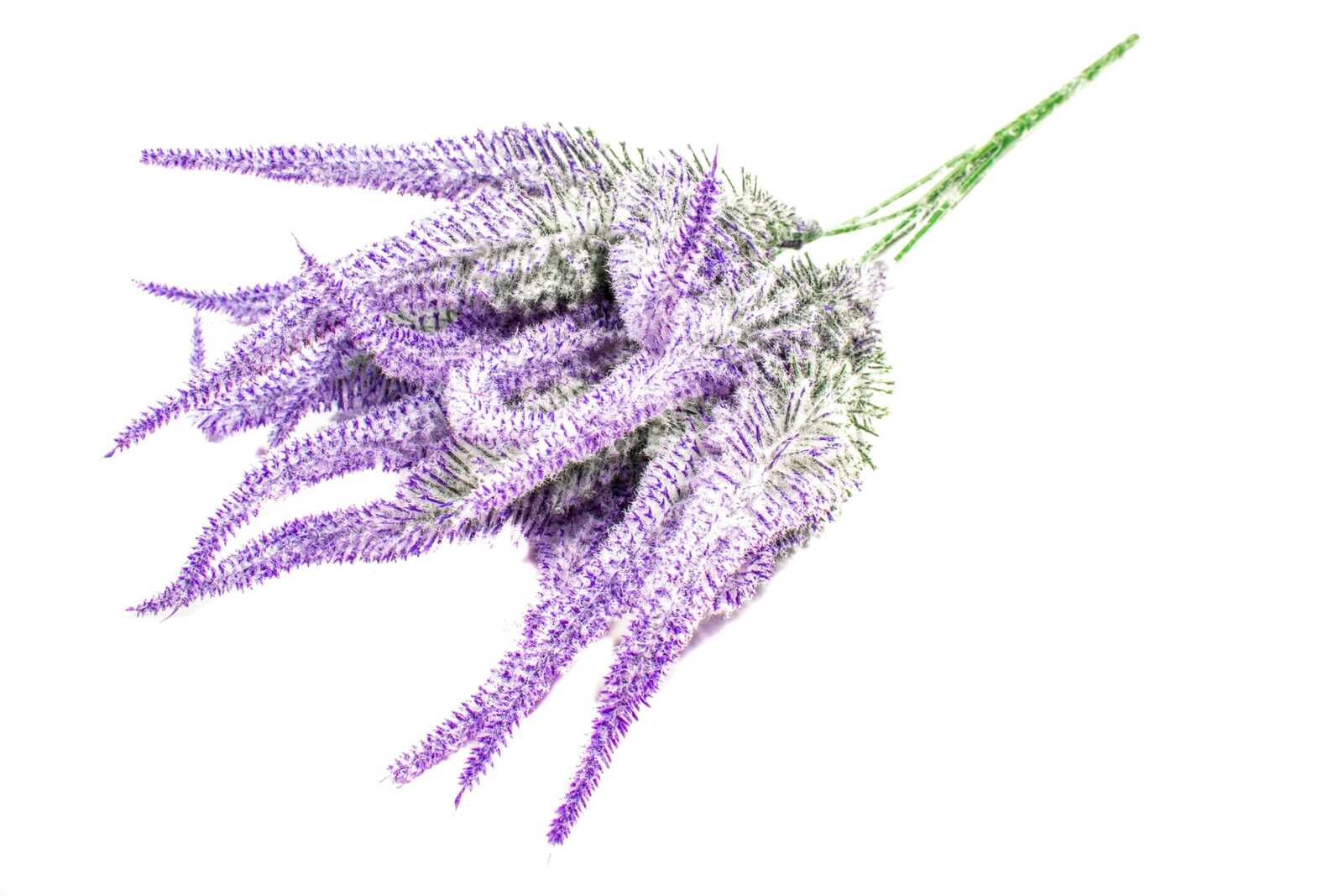 buchet-creasta-curcanului-groasa-galben