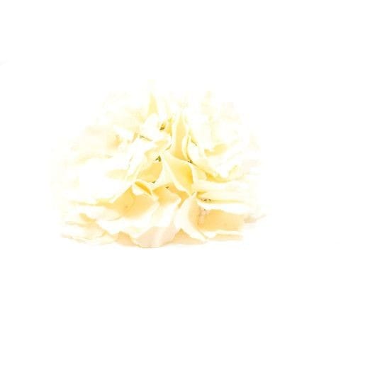 capete-flori-artificiale-hortensie20set