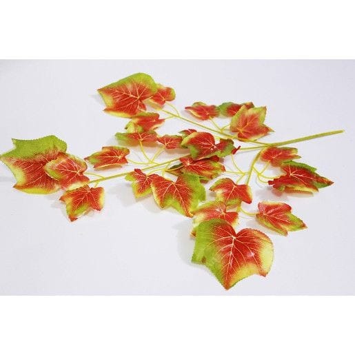 crengi-frunze-vita-de-vie-toamna-12-set