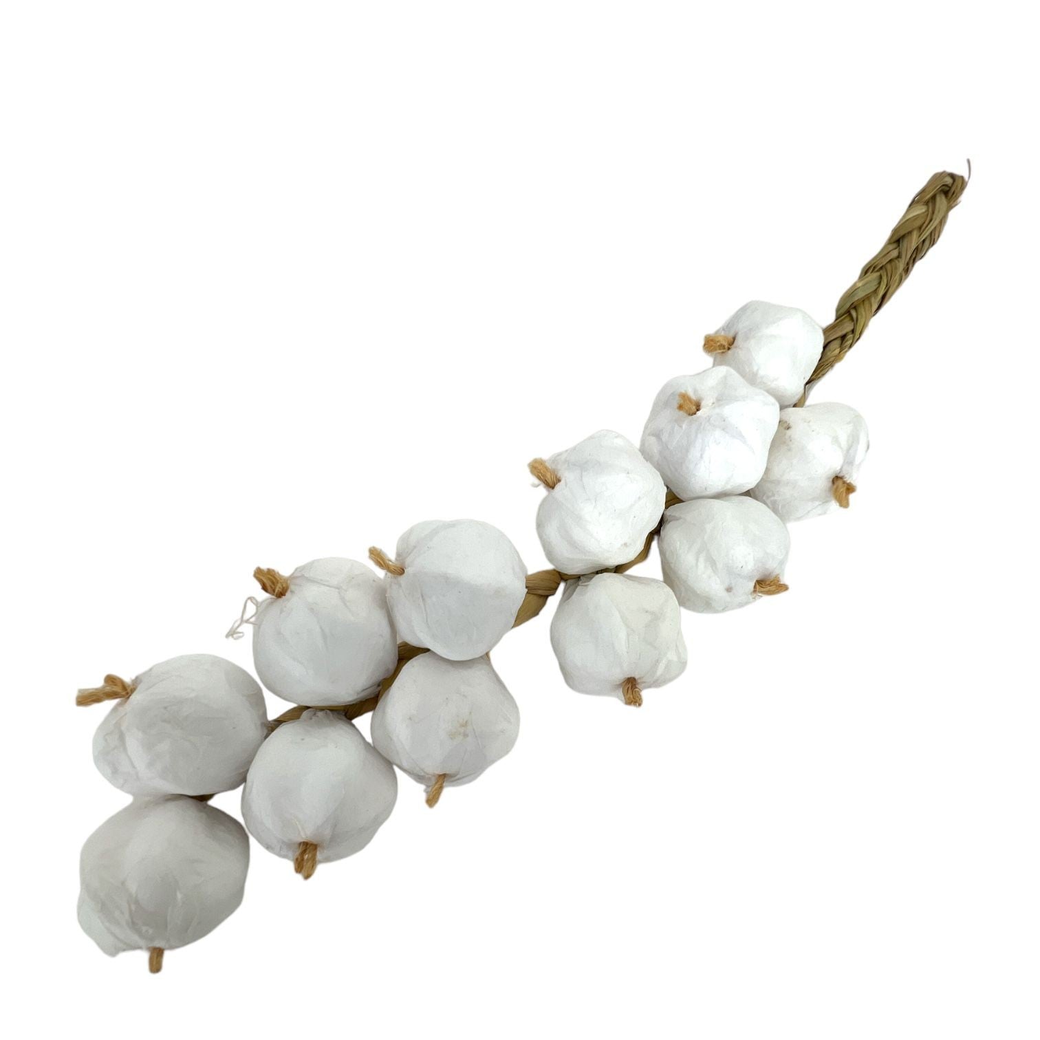 funii-nartificiale-usturoi