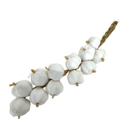 funii-nartificiale-usturoi