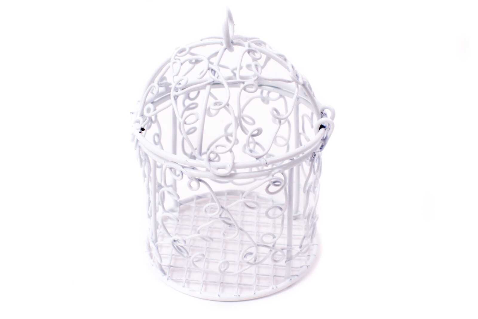 marturie-nunta-colivie-sarma-12set