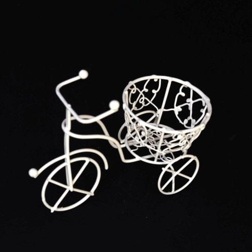 marturie-nunta-biciclete-sarma-cos-conic-12set