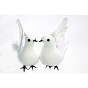 porumbei-polistiren-cu-pene-1