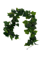 Photoroom_20250312_165227