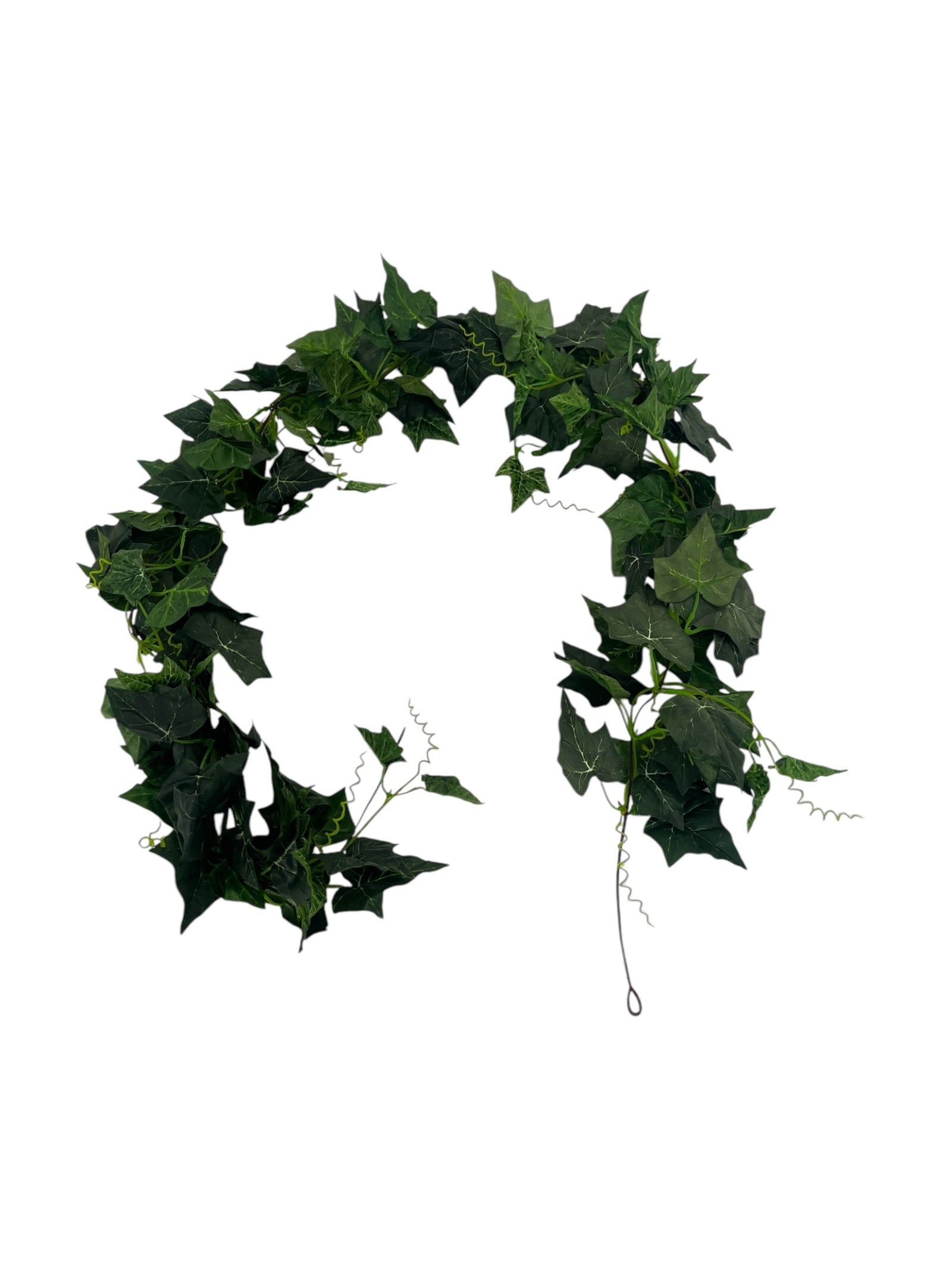 Photoroom_20250312_165358