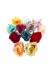 Photoroom_20250409_114748