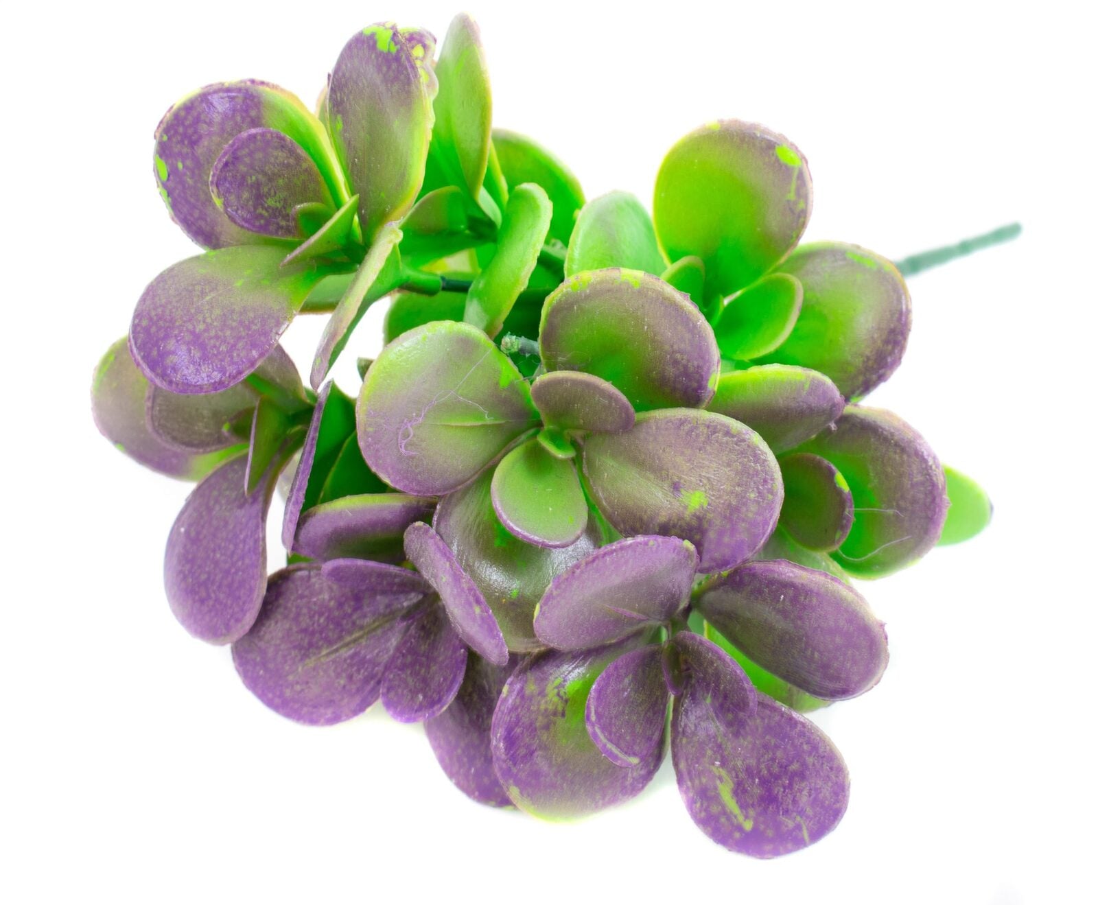 frunze-artificiale-buchet-frunza-grasa-mare1