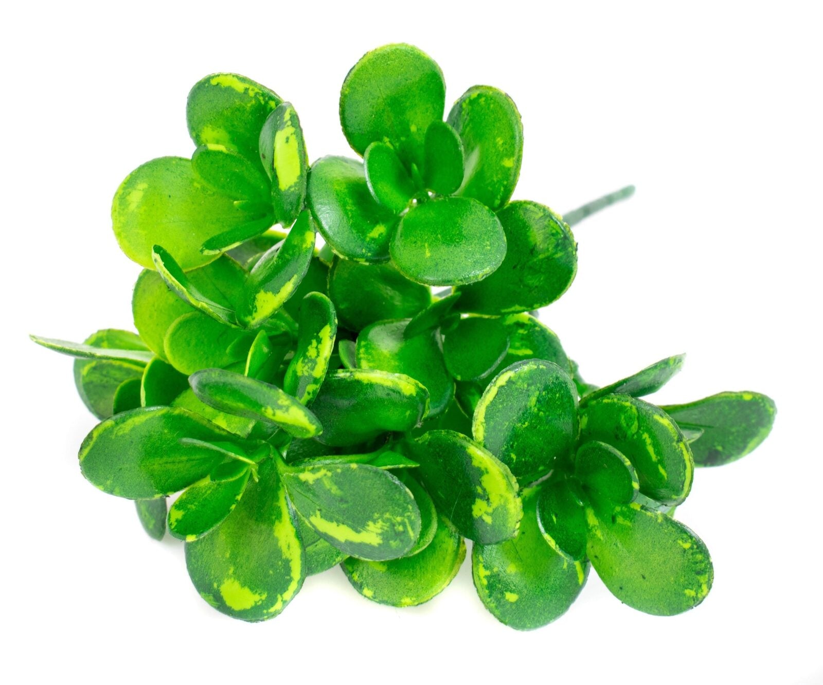 frunze-artificiale-buchet-frunza-grasa-mare1