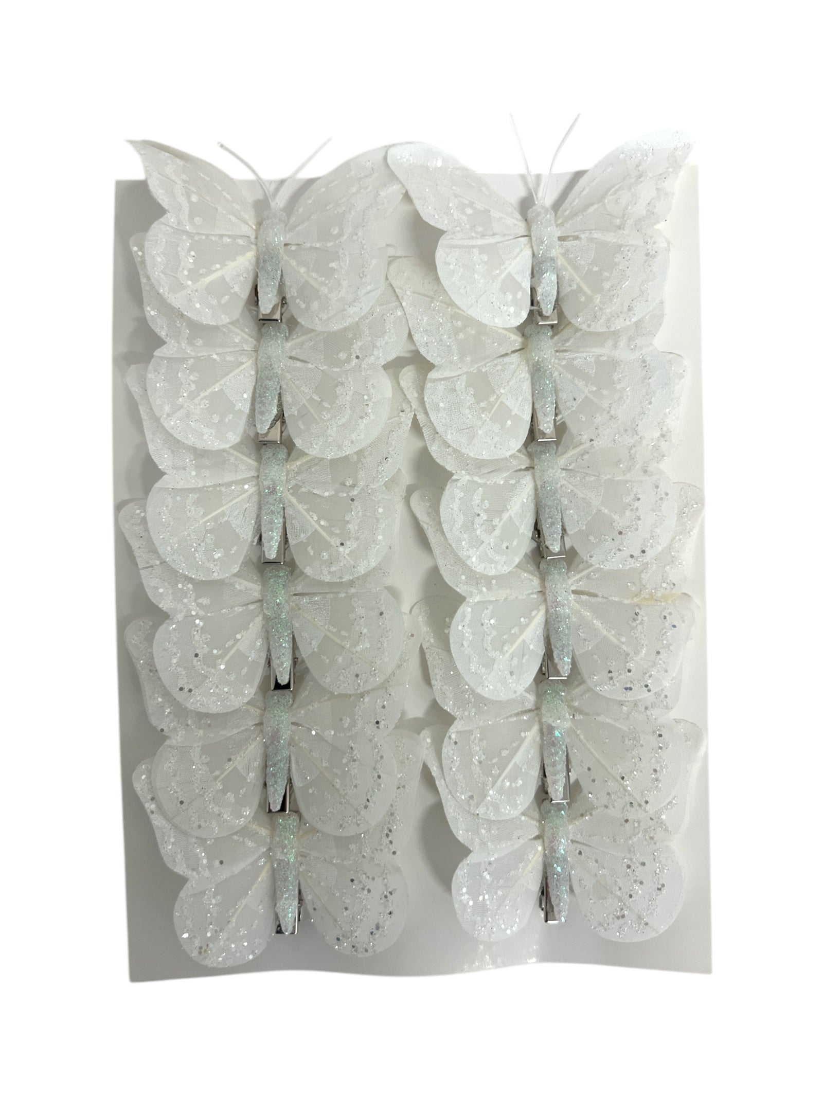 Photoroom_20250121_162431 4