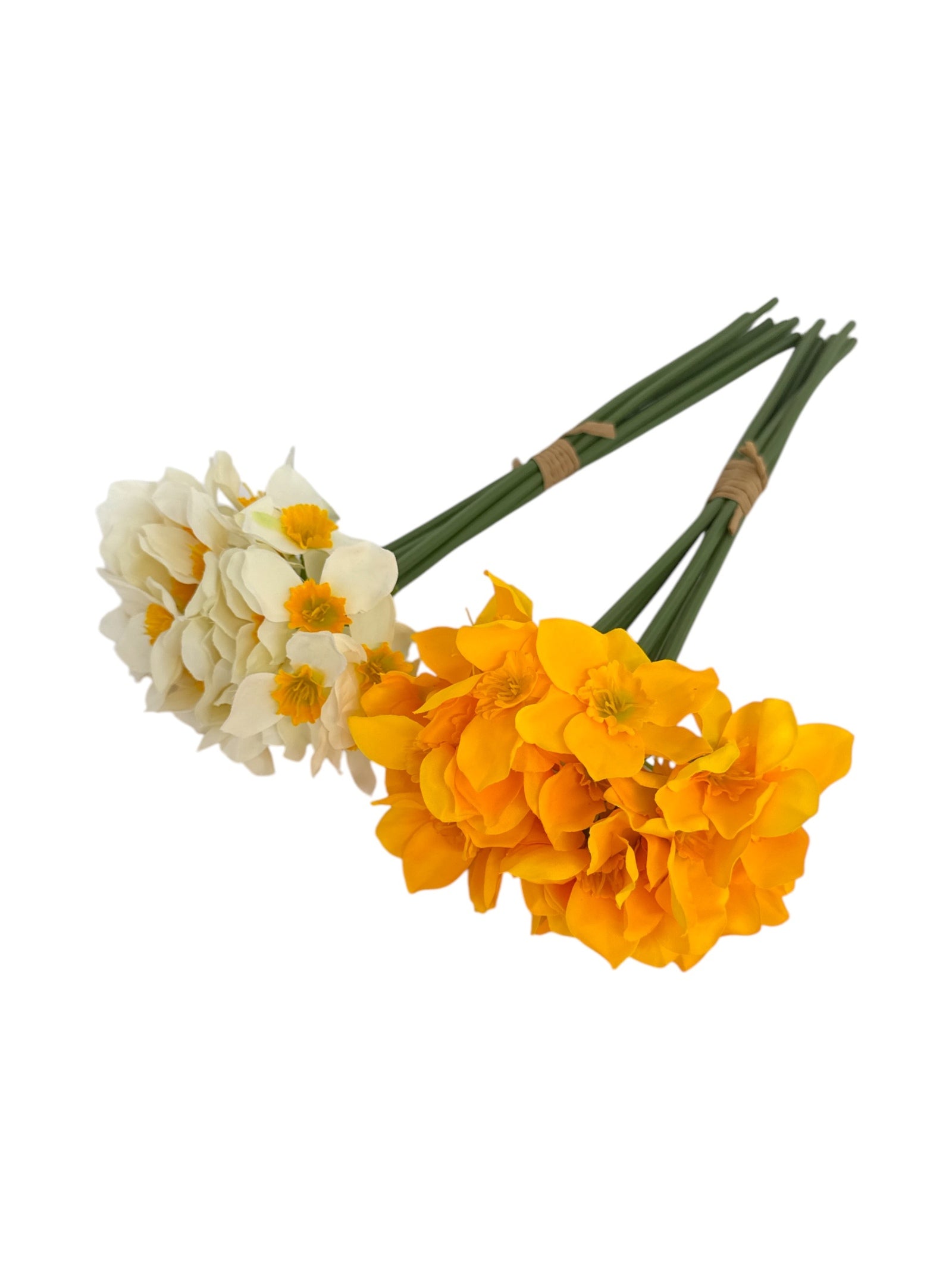 Photoroom_20250409_114706