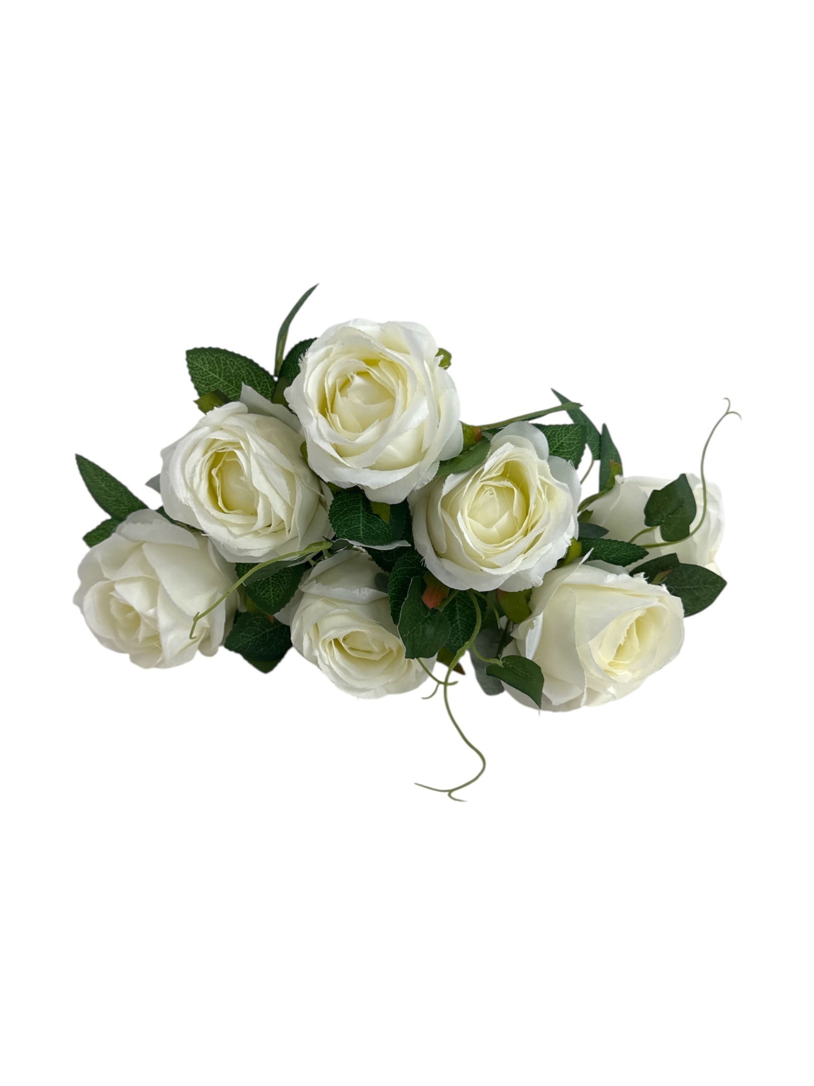 Photoroom_20250621_105352