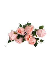 Photoroom_20250621_104826