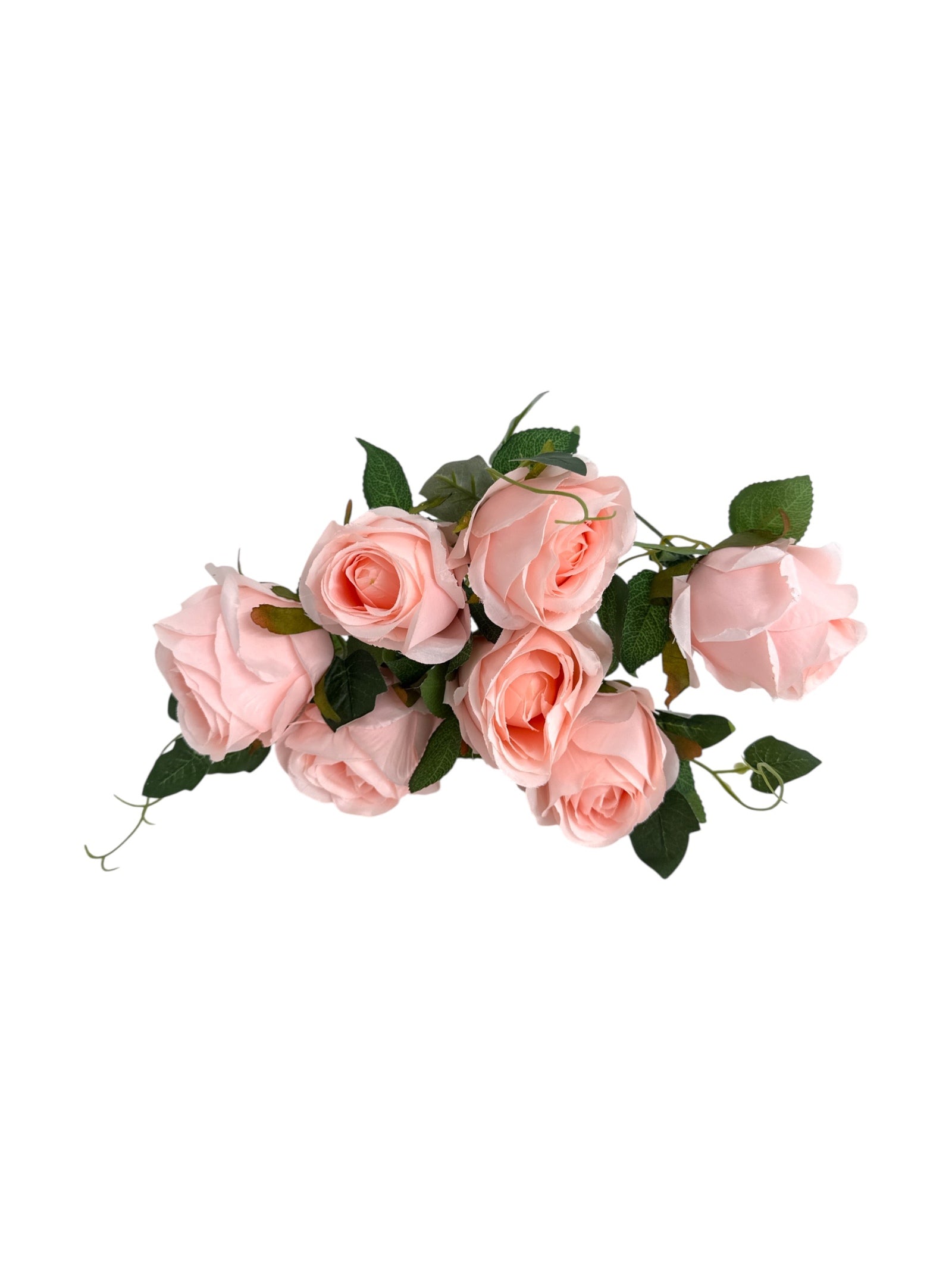 Photoroom_20250621_104826