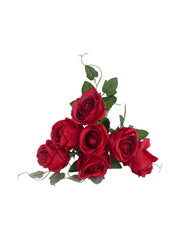 Photoroom_20250621_105019