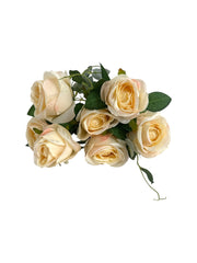 Photoroom_20250621_110103